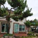 돌섬민박 이미지