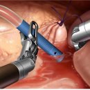 다인메디칼 이미지