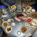 제주 한라돈