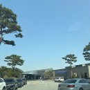 대영힐스CC | [충북 충주]대영힐스CC 후기