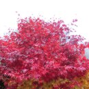 채락산장 이미지