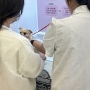 멍클스튜디오 이미지