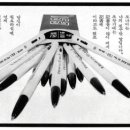 153 이미지