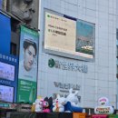 11305-15-101-4 | 1212 - 1216 대만여행 4일차 ② : WOOTEA, 키키레스토랑, 타이베이101, 라오허제 야시장