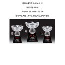 (주)애니통 티스토리