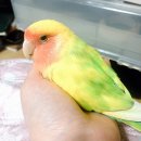 신정1동 주민센터 이미지