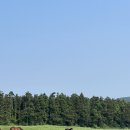 미영목장 이미지