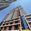 코티스 앰버서더 이미지