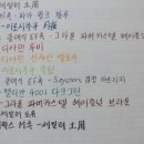 루나드파펠