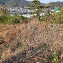 창원 제포진성 이미지