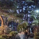 강릉애 진심 이미지