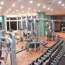 홍키통키 라이프 이미지