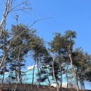 안심다온약국 이미지