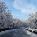 행복주차장 이미지