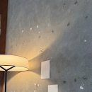 카페팔로 | 강남구청역 근처 쉬어가기 좋은 카페 울루루커피 팔로산토커피 후기