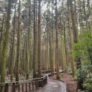 몬딱쉼터 이미지