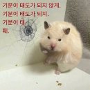 기분이 태도가 되지 않게 퉤