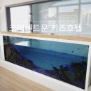 강동해변펜션 | 울산 신상 풀빌라 펜션 크레센트 문 키즈 호텔 숙소 후기