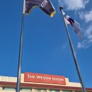 조선비치 | 웨스틴 조선 부산 디럭스 비치 온돌 객실 솔직 후기