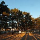 상주은모래비치주차장 이미지