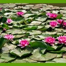 김해수 농장 이미지