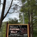 광역투어(둘째주, 일) | [호주/신행] ♡신혼여행 5편 - 멜버른 day 3 (퍼핑 빌리, 마루 동물원, 필립아일랜드 투어 후기)