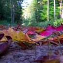 유정낚시터 이미지