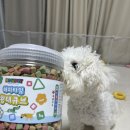 해피타임 | 안심하고 주는 강아지 황태간식, 하우펫 해피타임 황태큐브