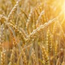 미션나라 이미지