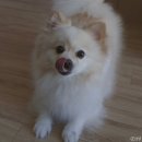 이도메디 이미지