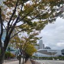 펫나라 | 박람회 알바후기, 벡스코 펫쇼 사무국 스태프 후기[꿀알바 추천]- 다른 파트 정보 포함