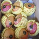 대곡축산유통 | 생체리 한알로 다이어트도하고 무더운 여름 건강 준비해봐요 :P 달서구 대곡 과일배달도 따자!
