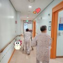 의료법인 대한불교조계종승려복지 이미지