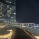 디 오아시 이미지