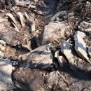 알프스산장모텔 | 울산 영남알프스 간월산