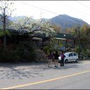 2010년 제19회 충주남산 초등학교 총동문회 뒷풀이 1 이미지