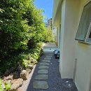 소소로이 이미지