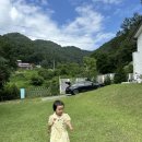 타샤의 아침 이미지