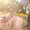 부산광역시장애인종합복지관 이미지