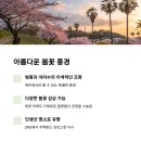 신산 이미지