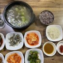 김씨네소머리 | (제주여행 2탄) 서귀포 숙소 호텔더엠, 새서울두루치기, 해장은 맨도롱해장국