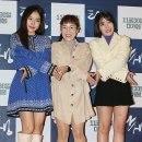 홍자몰