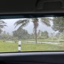 동부기사식당 | 발리 동부투어 코스 프라이빗 택시 한국어 기사님 예약 가격 후기