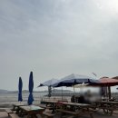 설도항 | 영광 설도항 수산시장 봄도다리 맛집