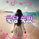 (주)국초쑥나라 | 쑥담 쑥핏 고체쑥즙으로 가벼워지는 아침 쑥디톡스 루틴 2주 섭취 솔직 후기