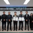 오렌지나무 이미지