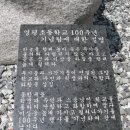 영평초등학교 Daum카페