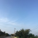 얼음골가든식당 이미지