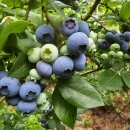 우석농장 이미지