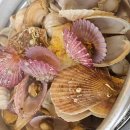 (주)펫키즈 이미지